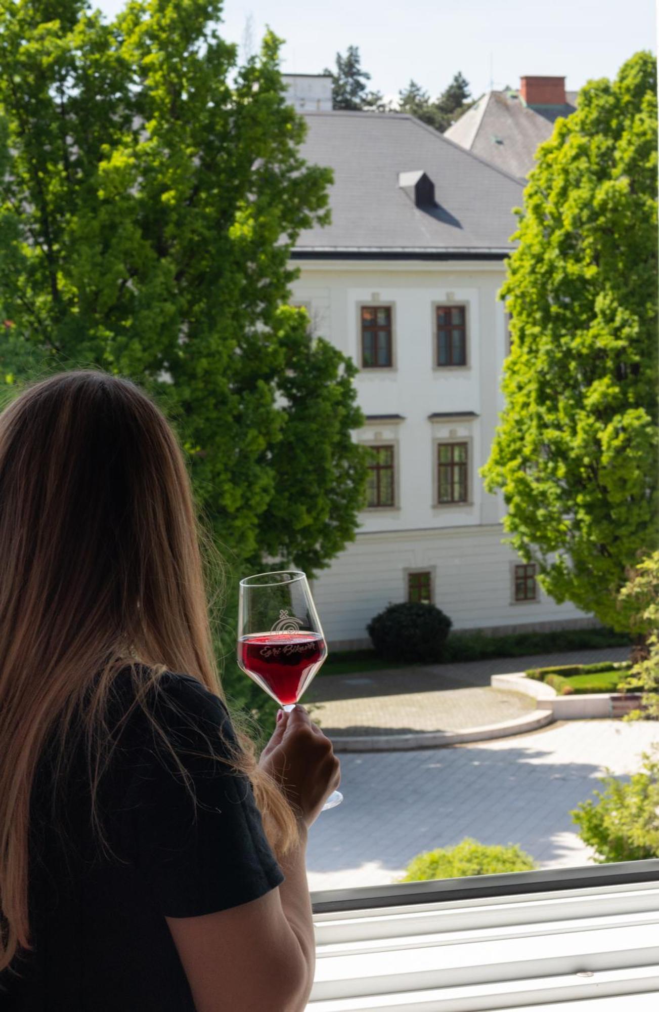 Suzy Apartman Егер Екстериор снимка